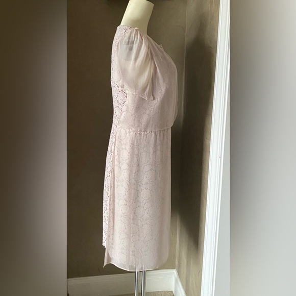 Ann Taylor Beige Knee Length Dress Lace With Partial Sheer Panel Women's Size 10 - Picture 4 of 14